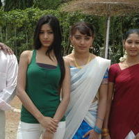 Rudrakshapalli Movie Opening | Picture 44057